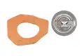 Termosztát, Hűtőfolyadék - Kavo Parts
