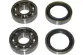 Kerékcsapágy Készlet - Kavo Parts