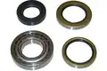Kerékcsapágy Készlet - Kavo Parts