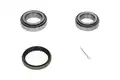 Kerékcsapágy Készlet - Kavo Parts