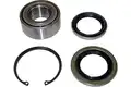 Kerékcsapágy Készlet - Kavo Parts