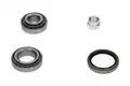 Kerékcsapágy Készlet - Kavo Parts