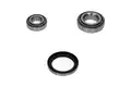 Kerékcsapágy Készlet - Kavo Parts