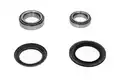 Kerékcsapágy Készlet - Kavo Parts