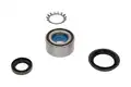 Kerékcsapágy Készlet - Kavo Parts