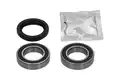 Kerékcsapágy Készlet - Kavo Parts