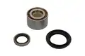 Kerékcsapágy Készlet - Kavo Parts