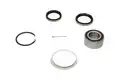 Kerékcsapágy Készlet - Kavo Parts