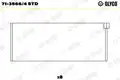 Hajtókarcsapágy - Glyco