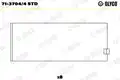 HAJTÓKARCSAPÁGY 0,00 - Glyco