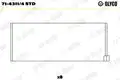 Hajtókarcsapágy - Glyco