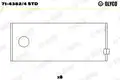 Hajtókarcsapágy - Glyco