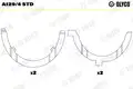 CSAPAGYSOR /SEGEDTENGELY/ STD - Glyco