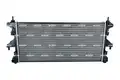 CHODNICA PEUGEOT BOXER 06- - NRF