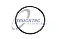 Termosztát O-gyűrű - Trucktec
