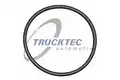 Termosztát O-gyűrű - Trucktec