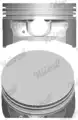 Dugattyú - Nüral