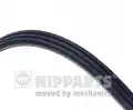 Nipparts hosszbordásszíj - Nipparts