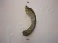 Fekpofakeszlet - Ashika