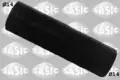 Vízcső - Sasic