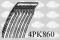 Hosszbordásszíj - Sasic