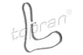 Vezérműlánc - Topran