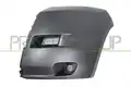 FIAT DUCATO 06-14 BRANIK P/L CRNI +/- MAGL FT9301114 ,JUMPER/BOXER - Prasco