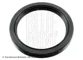 Szimmering - Blue Print
