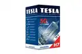 izzó, főfényszóró TESLA - Tesla
