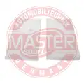 Pollenszűrő - Master-Sport