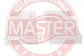 Pollenszűrő - Master-Sport