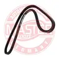 Ékszíj - Master-Sport