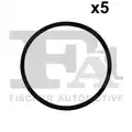 ORING 62 X 3 FPM/5SZT/ - FA1