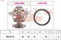 Termoszt t FORD FOCUS - EPS