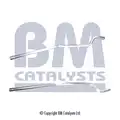 Kipufogócső - BM Catalysts