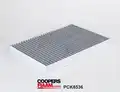 Pollenszűrő - CoopersFiaam