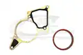 USZCZELKI POMPY VACUUM 2SZT. CITROËN, FIAT, FORD, JAGUAR, LAND ROVER, PEUGEOT - 3RG