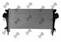 Intercooler - Loro