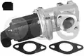Egr Szelep - STC