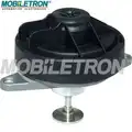 Egr Szelep - Mobiletron