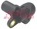 Impulzus ado, fotengely - Autlog