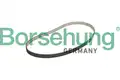 Vezérműszíj - Borsehung