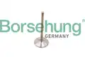 Dugattyúgyűrű - Borsehung