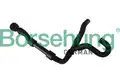 Vízcső - Borsehung