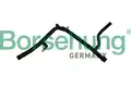 Vízcső - Borsehung