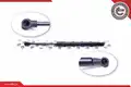 Gázteleszkóp, csomagtér fedél - ESEN SKV