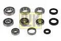 462023710L SET REPARATIE CUTIE DE VITEZE MANUALA LUK - Luk