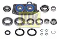 462038410L SET REPARATIE TRANSMIE MANUALA LUK - Luk