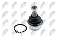 Gömbfej - NTY