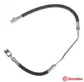 Gumifékcső - Brembo